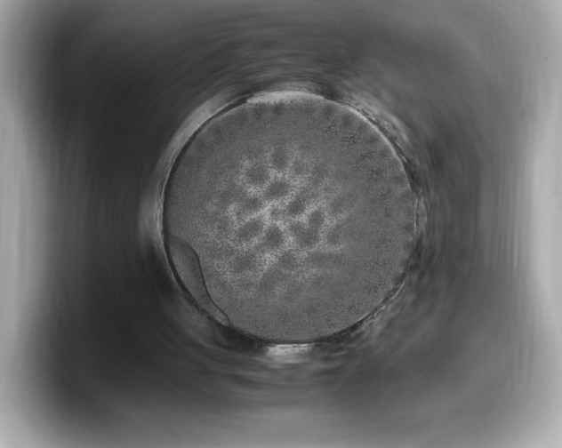 X0000099930051200805231239