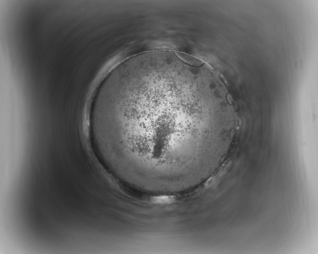 X0000099930053200805231239