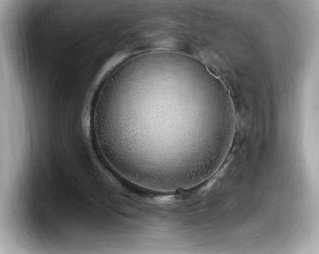 X0000099930054200805231239