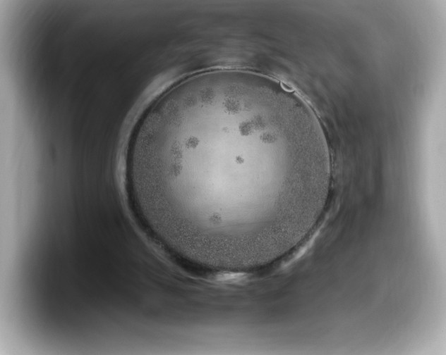 X0000099930055200805231239