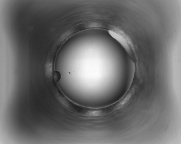 X0000099930057200805231239