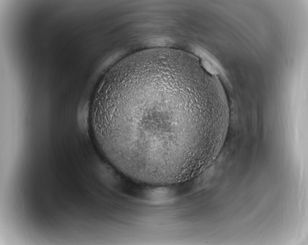 X0000099930058200805231239