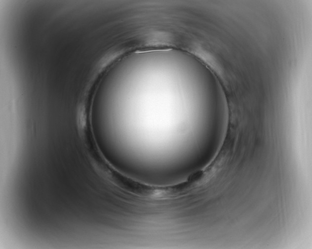 X0000099930060200805231239