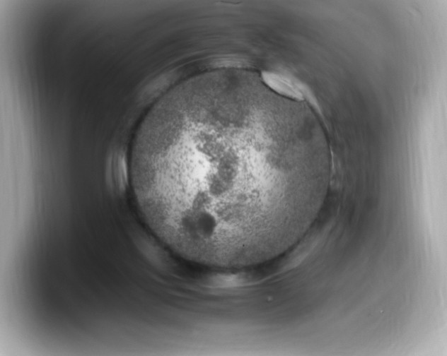 X0000099930061200805231239