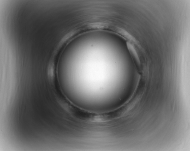 X0000099930064200805231239