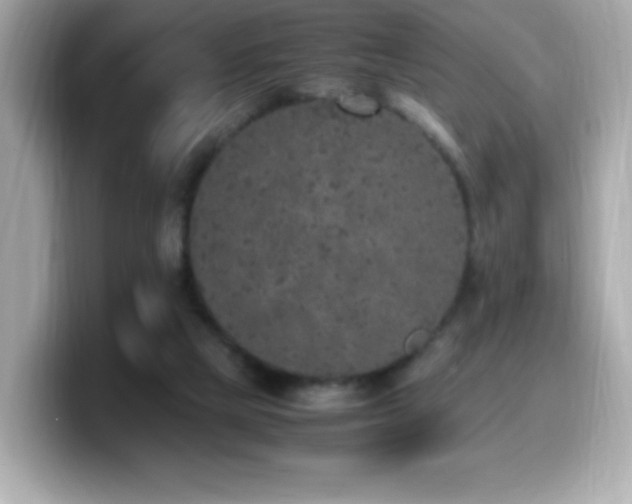 X0000099930065200805231239