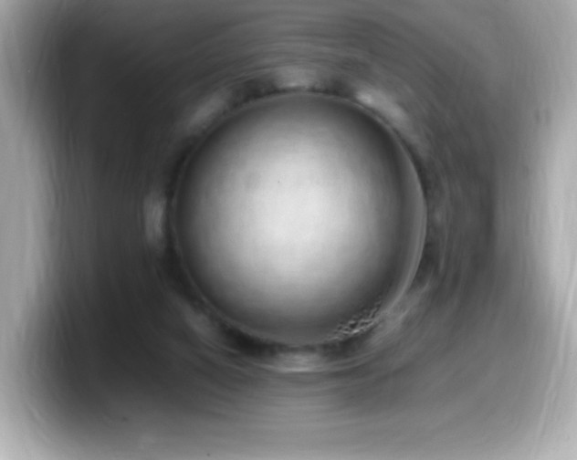 X0000099930066200805231239