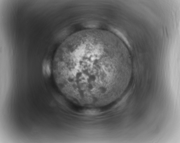 X0000099930069200805231239