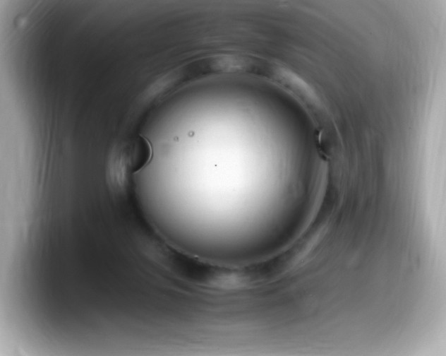 X0000099930071200805231239