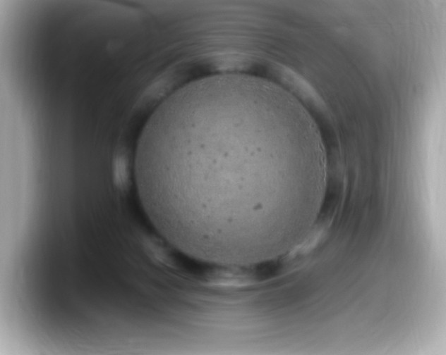 X0000099930074200805231239