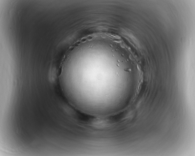 X0000099930077200805231239