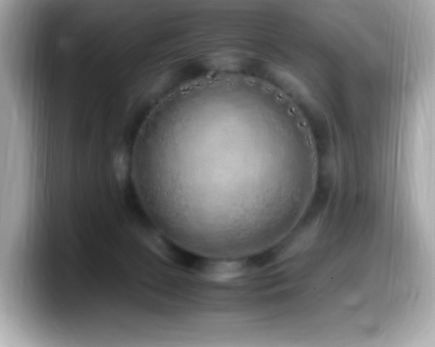 X0000099930081200805231239