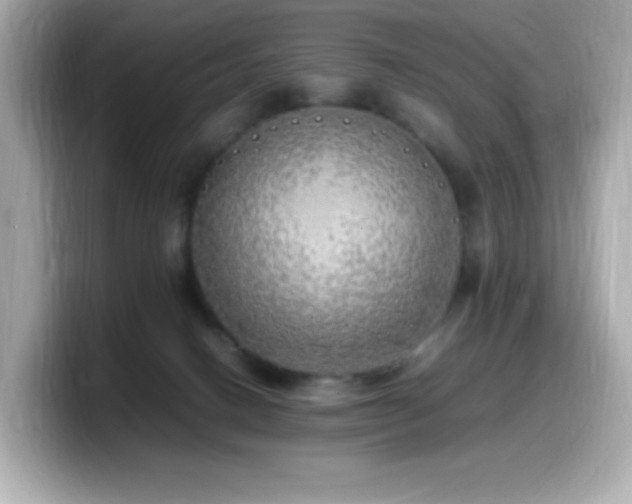 X0000099930082200805231239