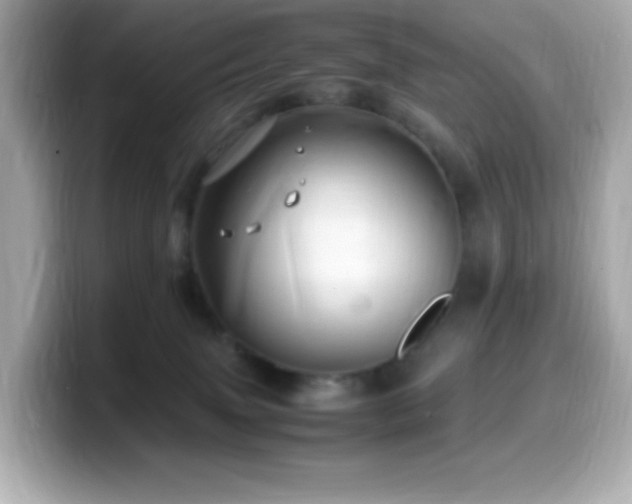 X0000099930083200805231239