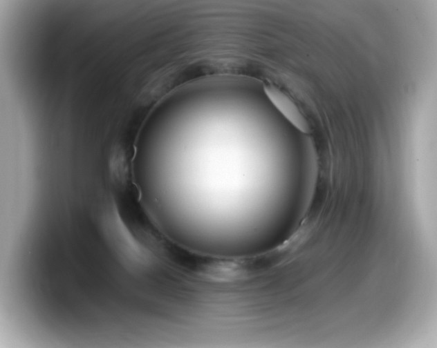 X0000099930086200805231239