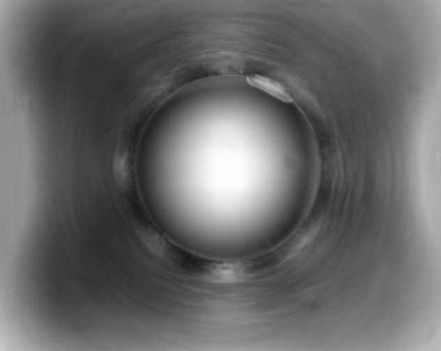 X0000099930088200805231239