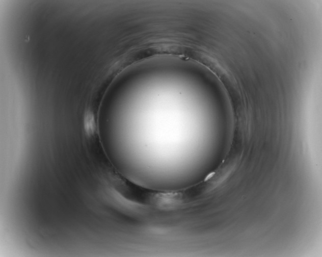 X0000099930089200805231239