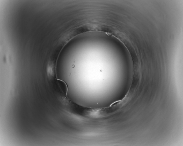 X0000099930090200805231239