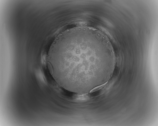 X0000099930093200805231239