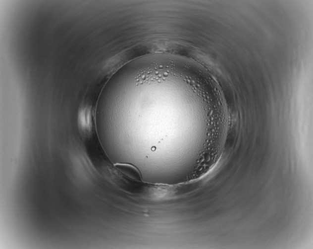 X0000099930094200805231239