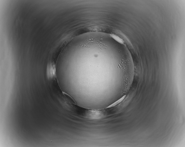 X0000099930095200805231239