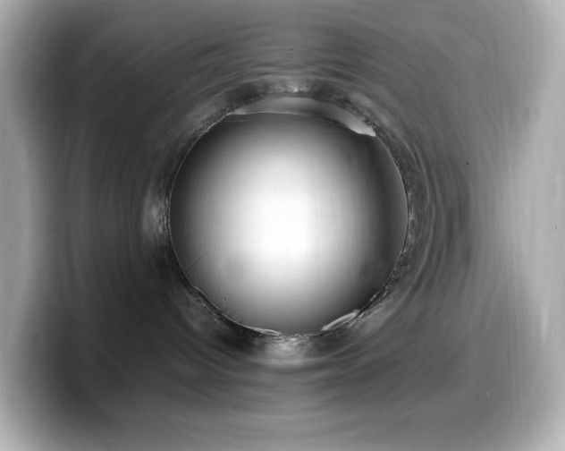 X0000099930096200805231239