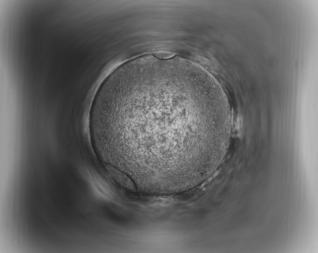 X0000099930099200805231239