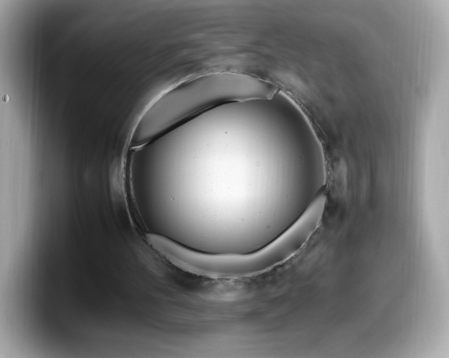 X0000099930100200805231239