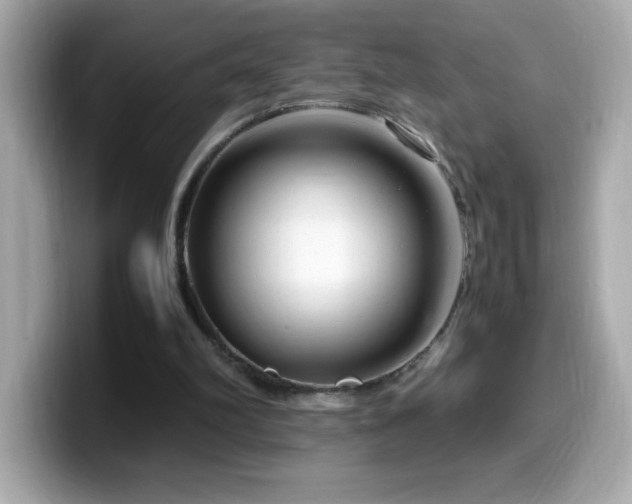 X0000099930102200805231239