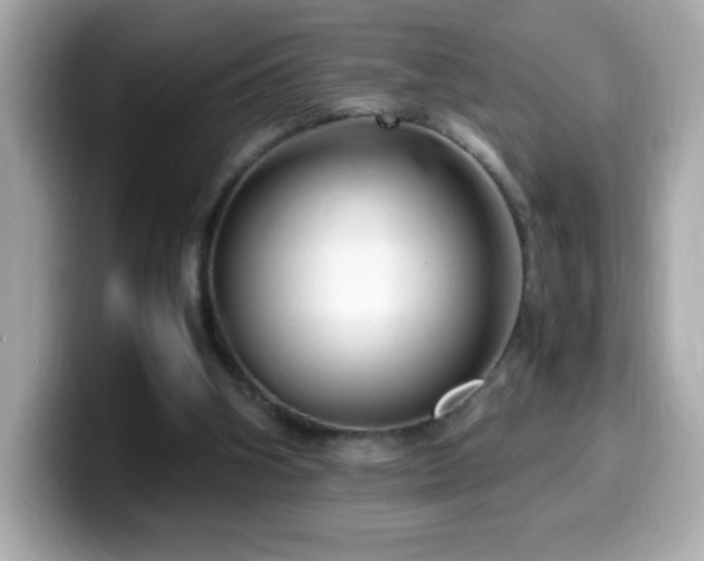 X0000099930106200805231239