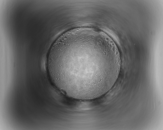 X0000099930107200805231239