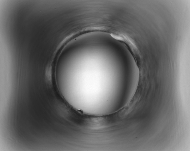 X0000099930108200805231239