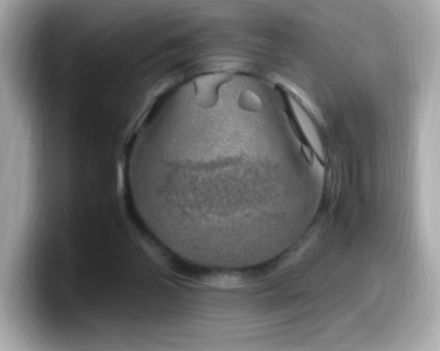 X0000099930110200805231239