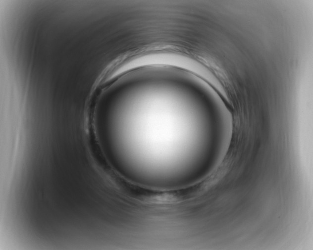 X0000099930112200805231239