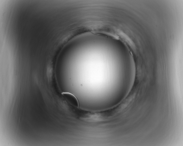 X0000099930113200805231239