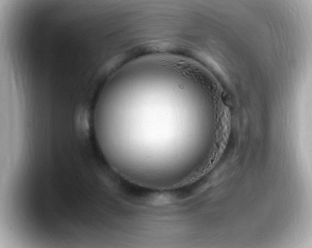 X0000099930115200805231239