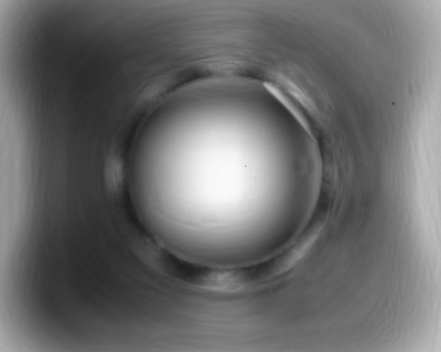 X0000099930117200805231239