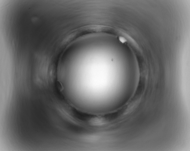 X0000099930119200805231239