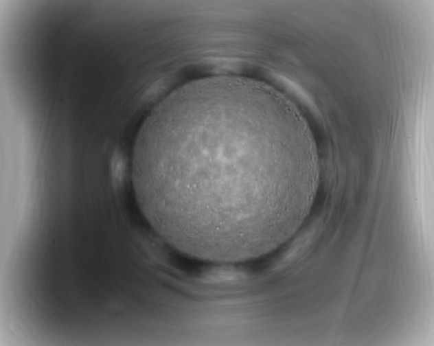 X0000099930123200805231238