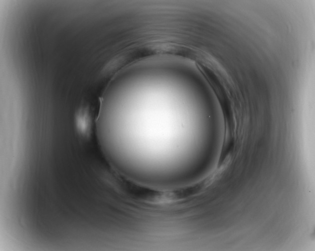 X0000099930124200805231238