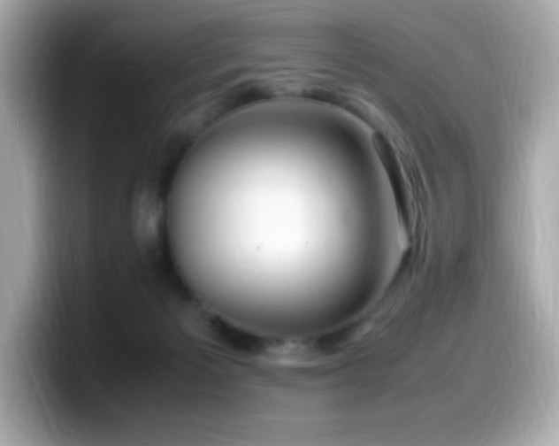 X0000099930125200805231238