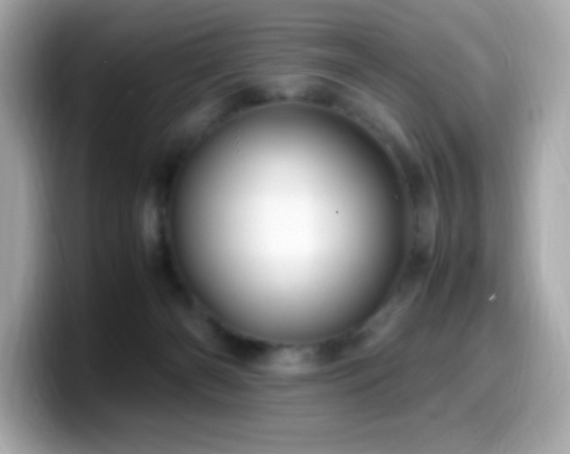 X0000099930126200805231238