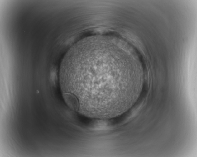 X0000099930127200805231238