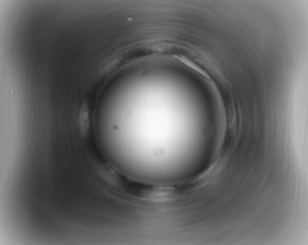 X0000099930128200805231238