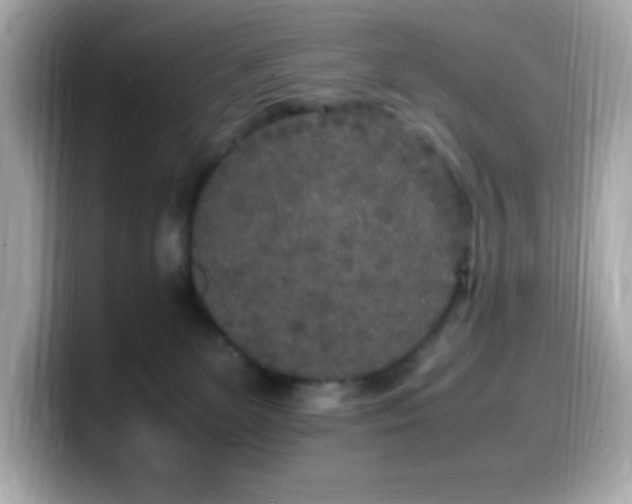 X0000099930131200805231238