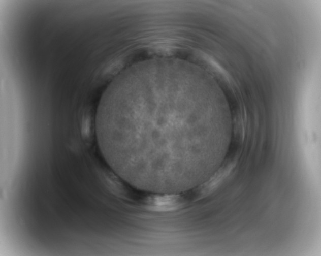 X0000099930134200805231238