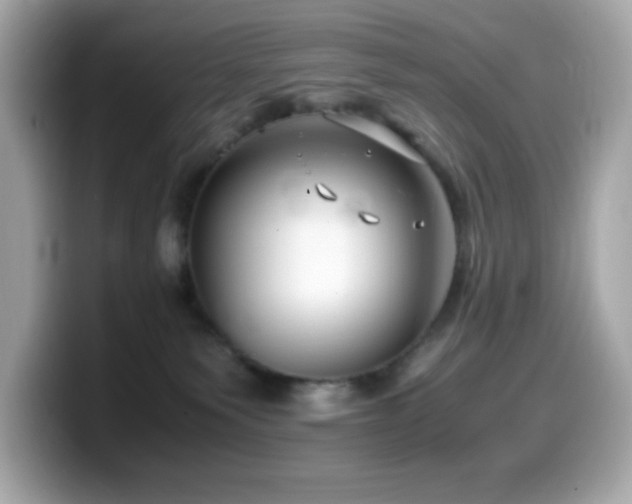 X0000099930135200805231238