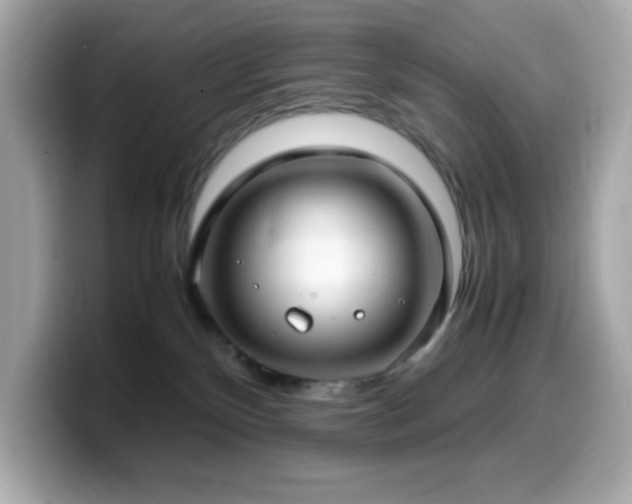 X0000099930136200805231238