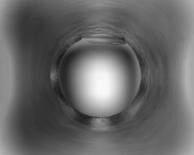 X0000099930137200805231238