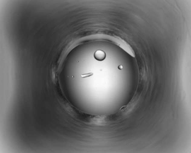 X0000099930138200805231238